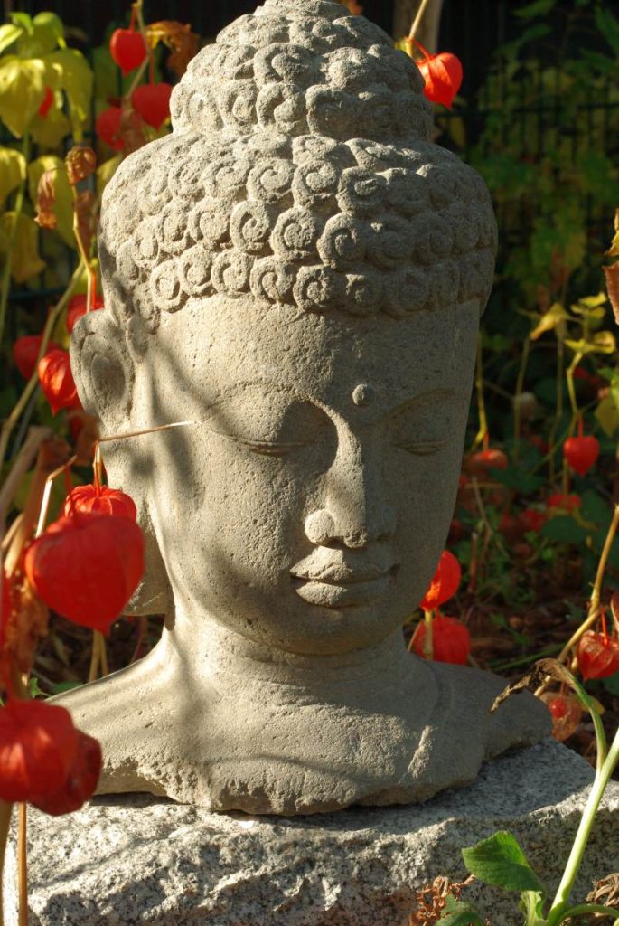 Steinerner Buddha-Kopf zwischen roten Lampionblumen
